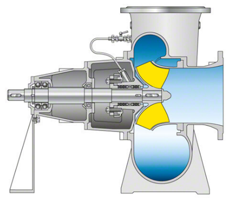 Picture19