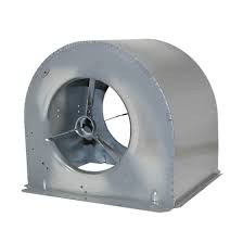 کیسنگ